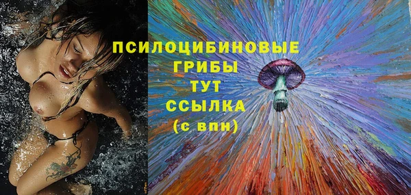 а пвп мука Аркадак