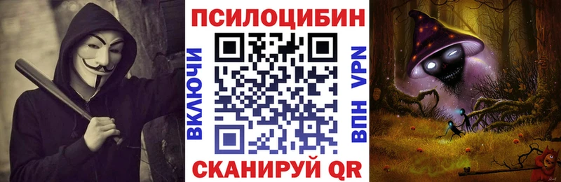 Псилоцибиновые грибы GOLDEN TEACHER  shop формула  Сосновый Бор 